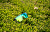 Buzz Polarised - Green Mirror Crystal - Bomber Eyewear Nz