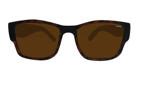 Gomer Polarised Tortoise - Bomber Eyewear Nz