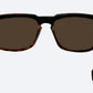 Smart Polarised Tortoise - Bomber Eyewear Nz